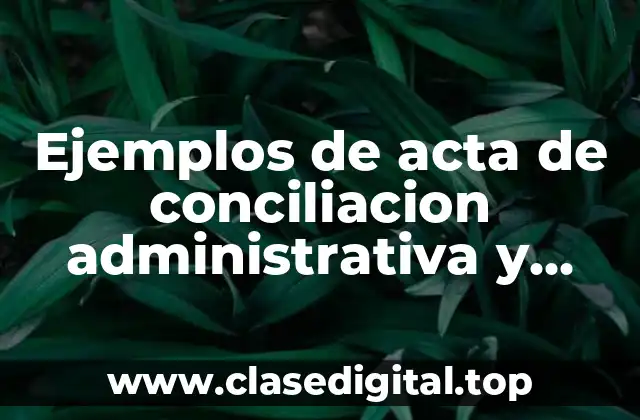 Ejemplos de acta de conciliación administrativa