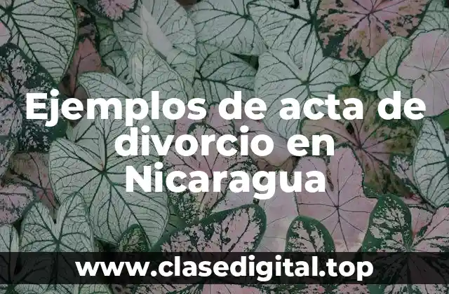 Ejemplos de acta de divorcio en Nicaragua