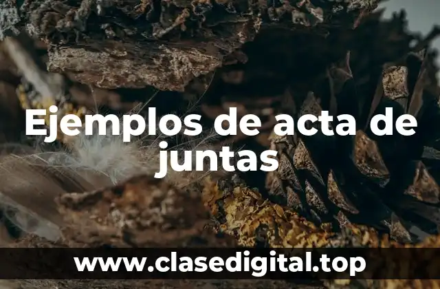 Ejemplos de acta de juntas