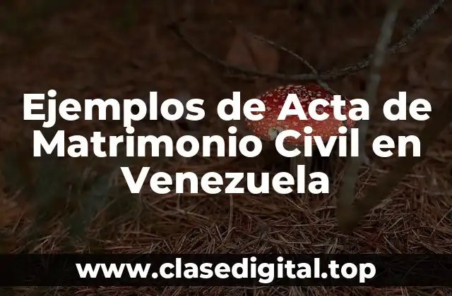 Ejemplos de Acta de Matrimonio Civil en Venezuela