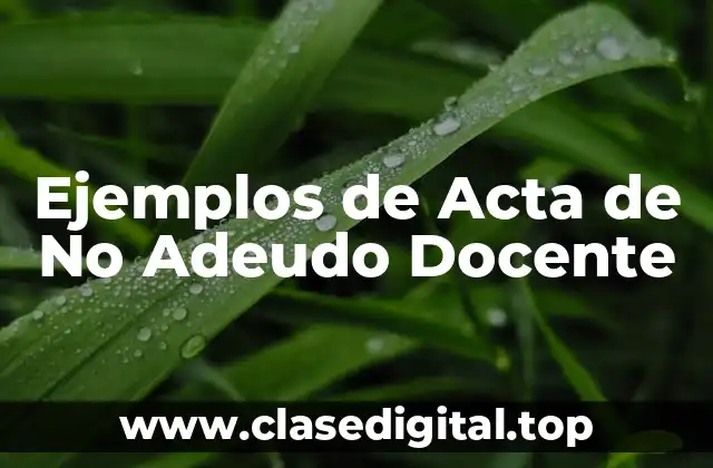 Ejemplos de Acta de No Adeudo Docente
