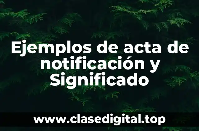 Ejemplos de acta de notificación y Significado