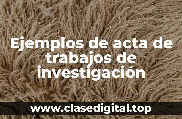 Ejemplos de acta de trabajos de investigación