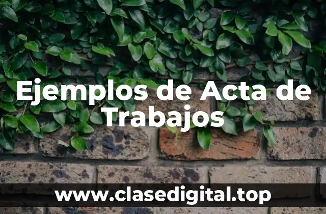 Ejemplos de Acta de Trabajos