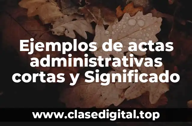 Ejemplos de actas administrativas cortas