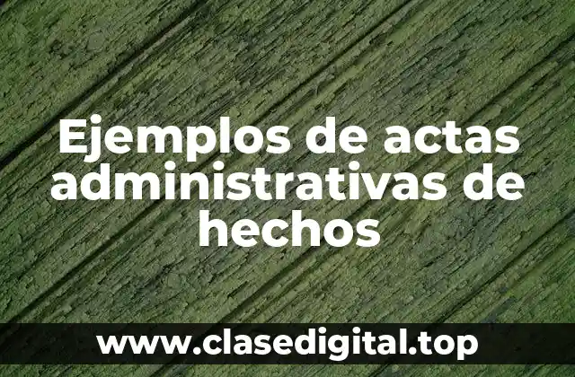 Ejemplos de actas administrativas de hechos