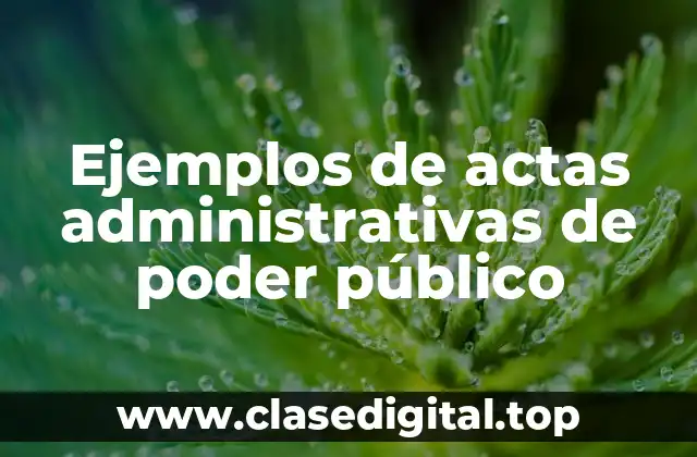 Ejemplos de actas administrativas de poder público