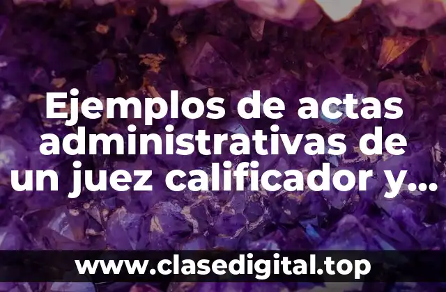 Ejemplos de actas administrativas de un juez calificador y Significado