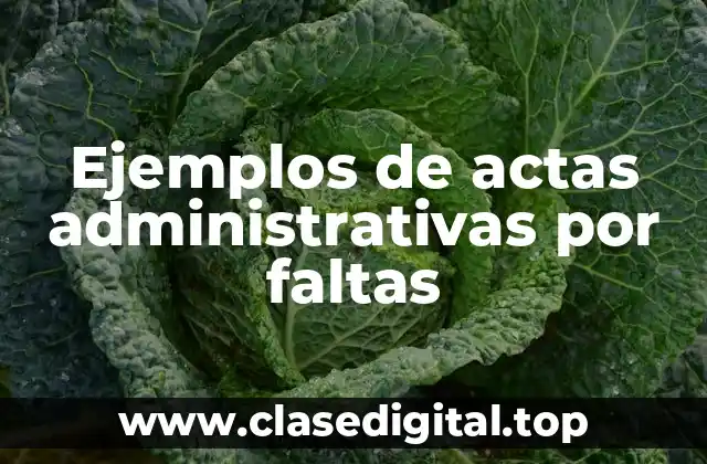 Ejemplos de actas administrativas por faltas