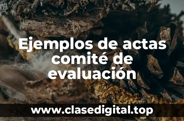 Ejemplos de actas comité de evaluación