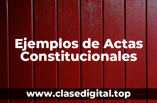 Ejemplos de Actas Constitucionales
