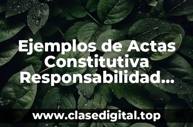 Ejemplos de Actas Constitutiva Responsabilidad Limitada de Capital