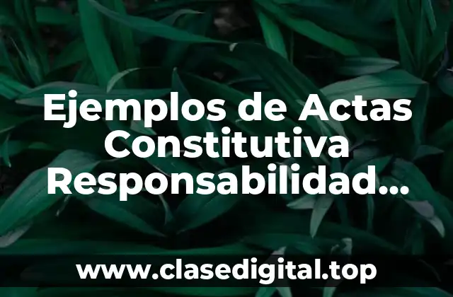 Ejemplos de Actas Constitutiva Responsabilidad Limitada y Significado