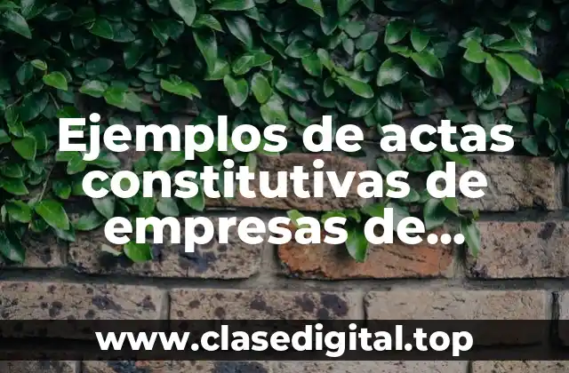 Ejemplos de actas constitutivas de empresas de servicios