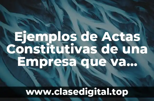 Ejemplos de Actas Constitutivas de una Empresa que va Iniciando