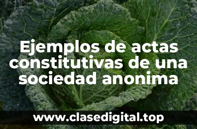 Ejemplos de actas constitutivas de una sociedad anonima