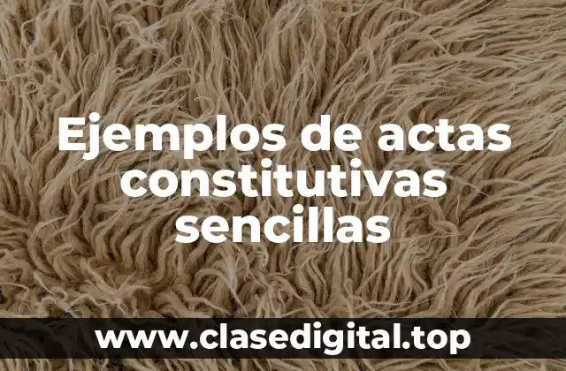 Ejemplos de actas constitutivas sencillas