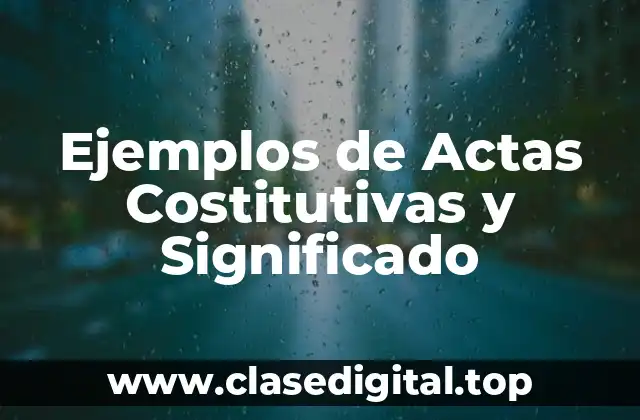 Ejemplos de Actas Costitutivas y Significado