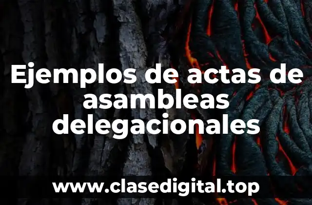 Ejemplos de actas de asambleas delegacionales
