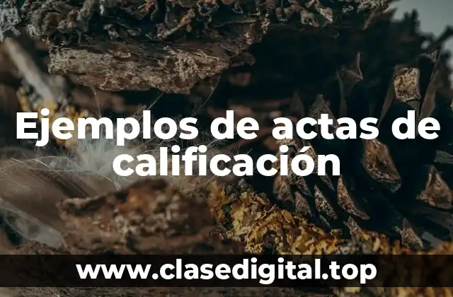 Ejemplos de actas de calificación