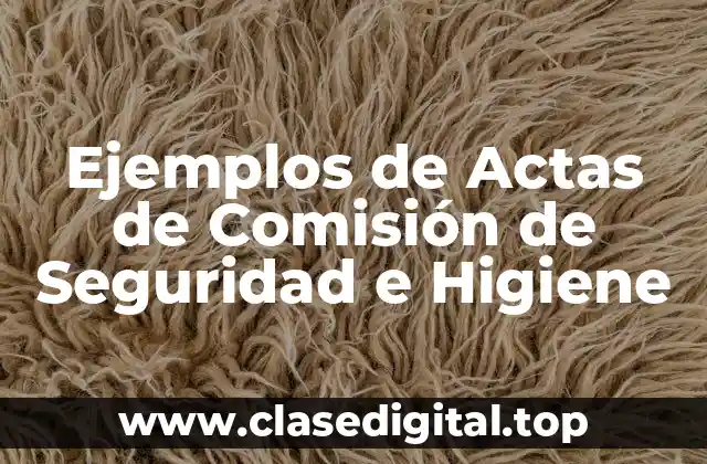 Ejemplos de Actas de Comisión de Seguridad e Higiene