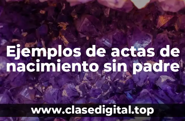 Ejemplos de actas de nacimiento sin padre