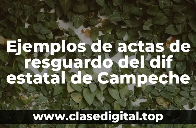 Ejemplos de actas de resguardo del dif estatal de Campeche