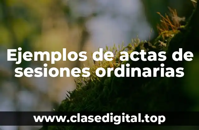 Ejemplos de actas de sesiones ordinarias