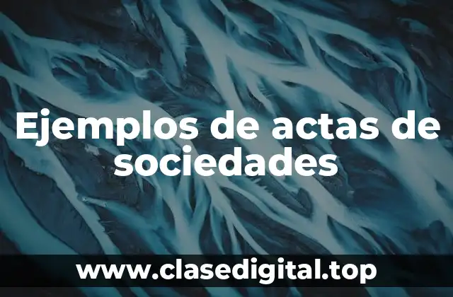 Ejemplos de actas de sociedades