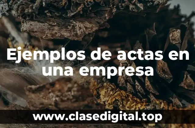 Ejemplos de actas en una empresa