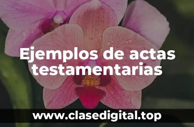Ejemplos de actas testamentarias