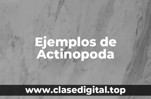 Ejemplos de Actinopoda