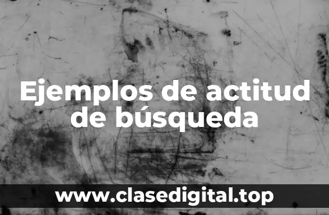 Ejemplos de actitud de búsqueda