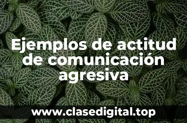 Ejemplos de actitud de comunicación agresiva