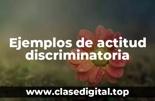Ejemplos de actitud discriminatoria