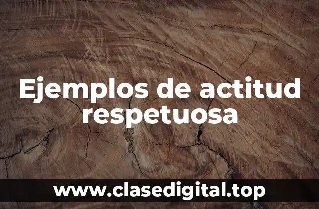 Ejemplos de actitud respetuosa