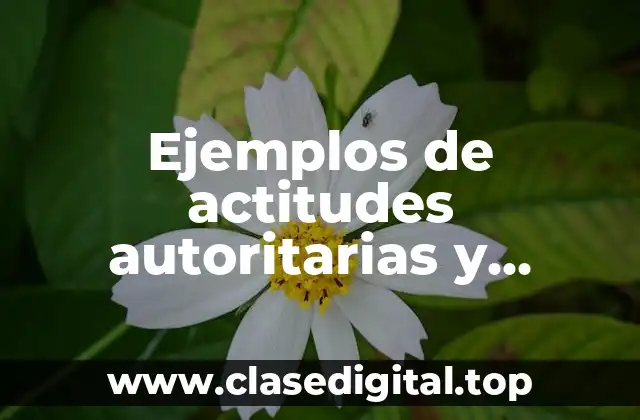 Ejemplos de actitudes autoritarias y Significado