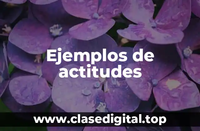 Ejemplos de actitudes