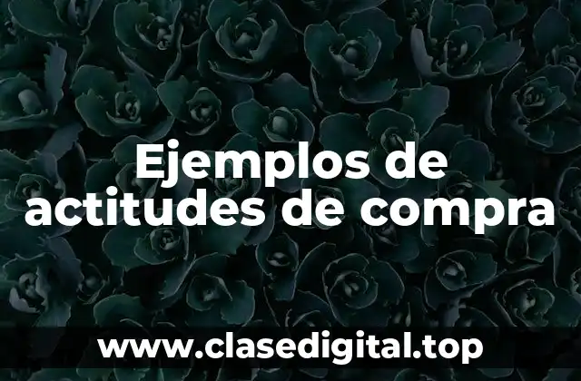 Ejemplos de actitudes de compra