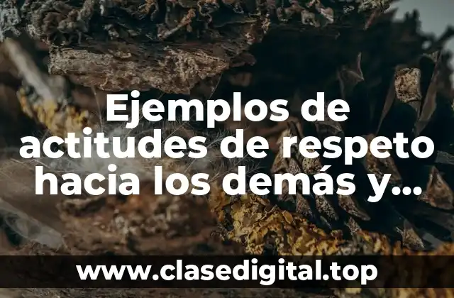 Ejemplos de actitudes de respeto hacia los demás y Significado