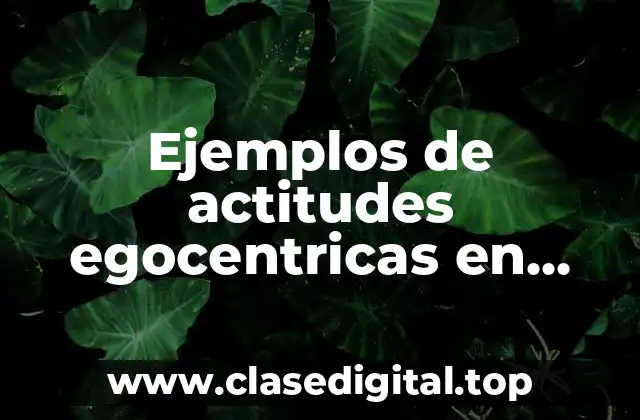 Ejemplos de actitudes egocentricas en alumnos de preescolar y Significado