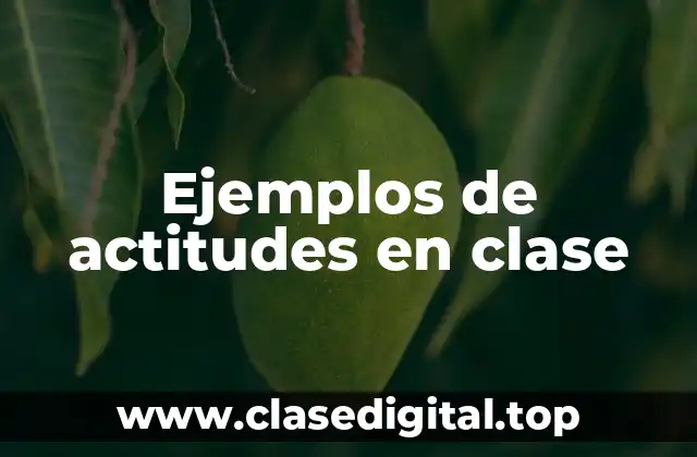 Ejemplos de actitudes en clase