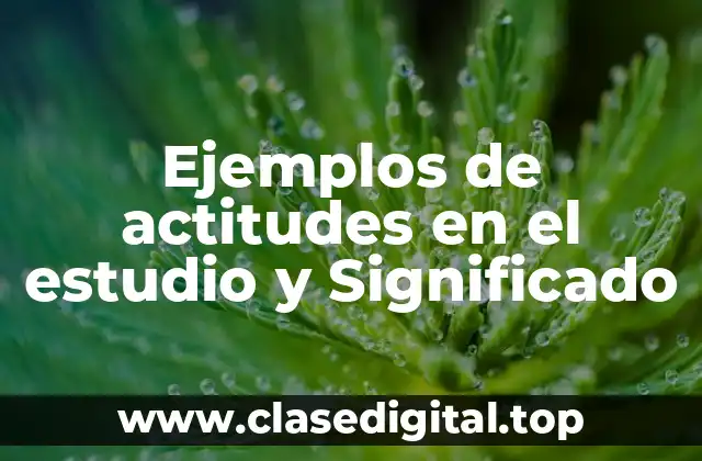 Ejemplos de actitudes en el estudio y Significado