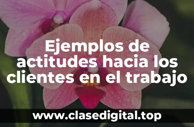 Ejemplos de actitudes hacia los clientes en el trabajo