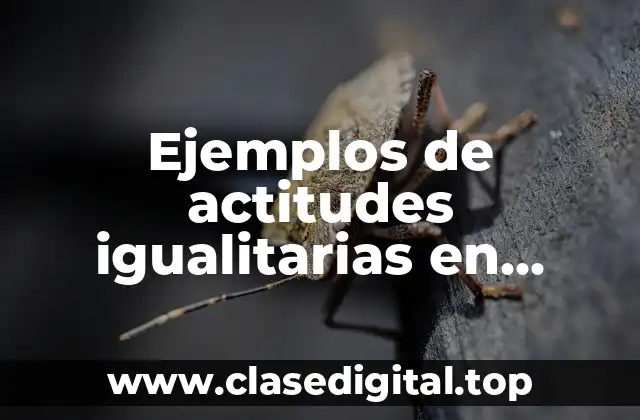 Ejemplos de actitudes igualitarias en personas con discapacidad