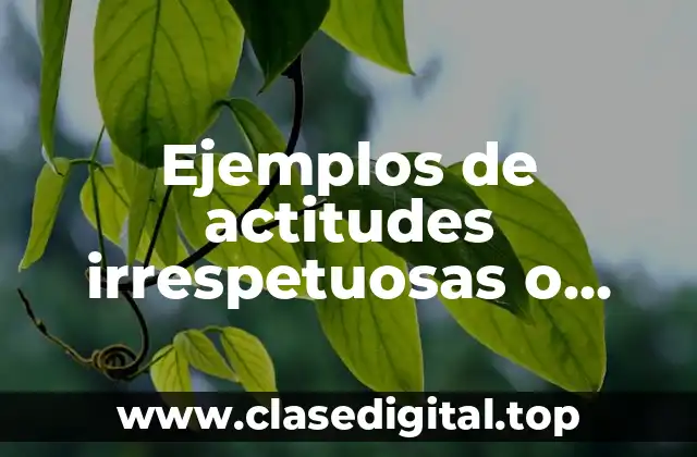 Ejemplos de actitudes irrespetuosas o violentas