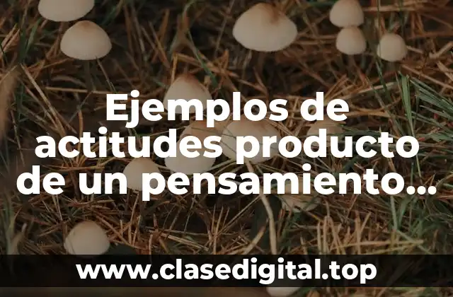 Ejemplos de actitudes producto de un pensamiento racional