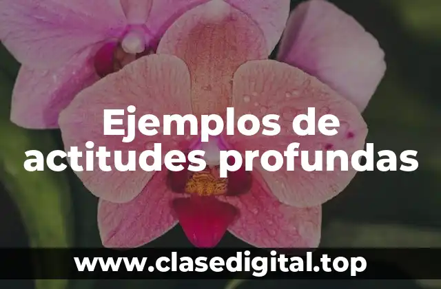 Ejemplos de actitudes profundas