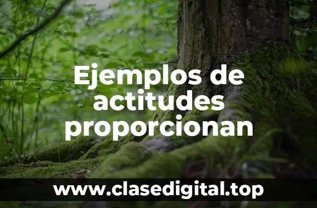 Ejemplos de actitudes proporcionan