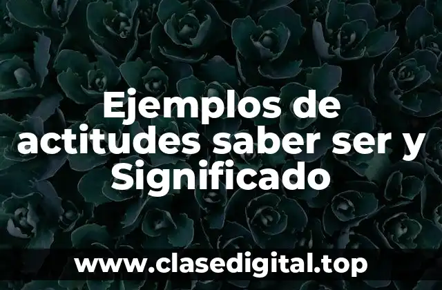 Ejemplos de actitudes saber ser y Significado